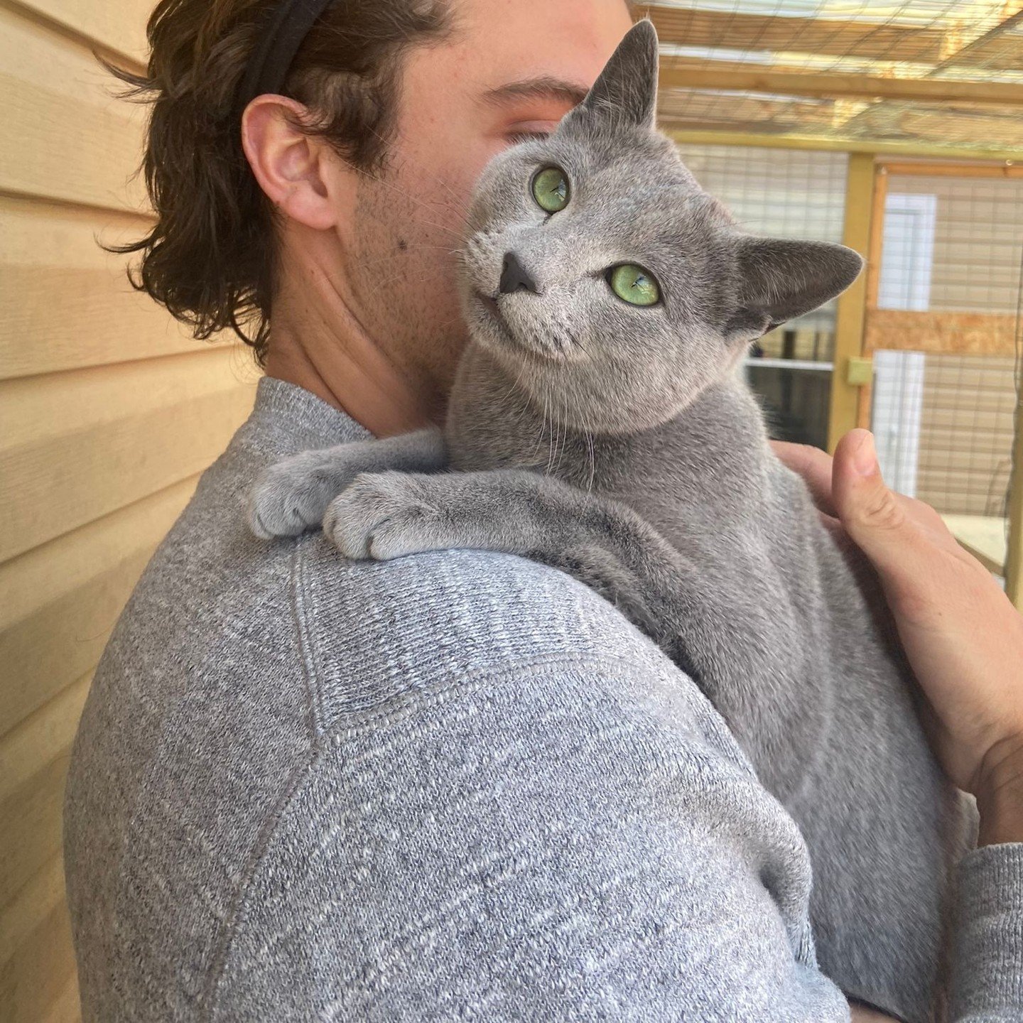 beautifulbluescattery_1648306097_2802517132023133839_32409332816