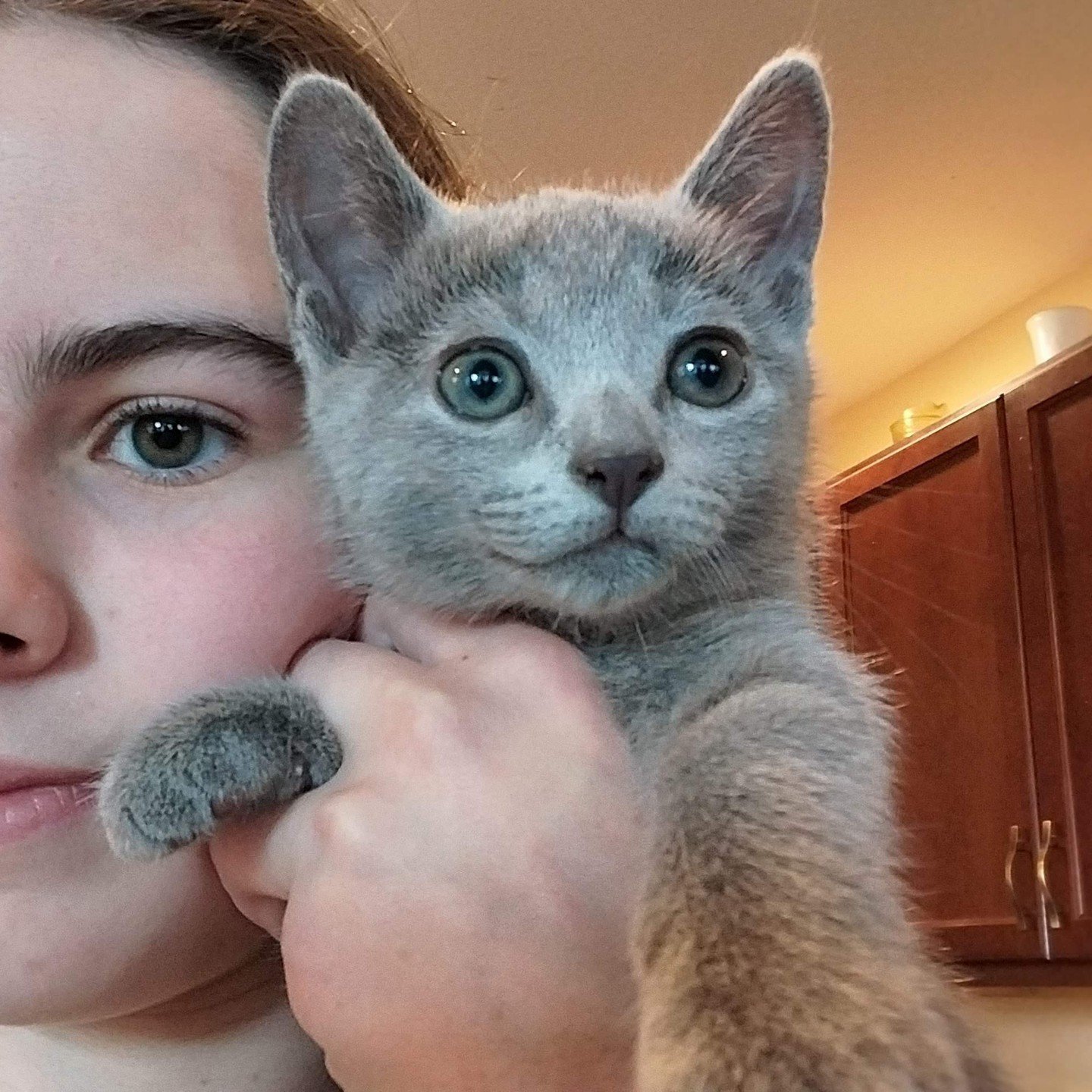 beautifulbluescattery_1696346659_3205510567845393228_32409332816