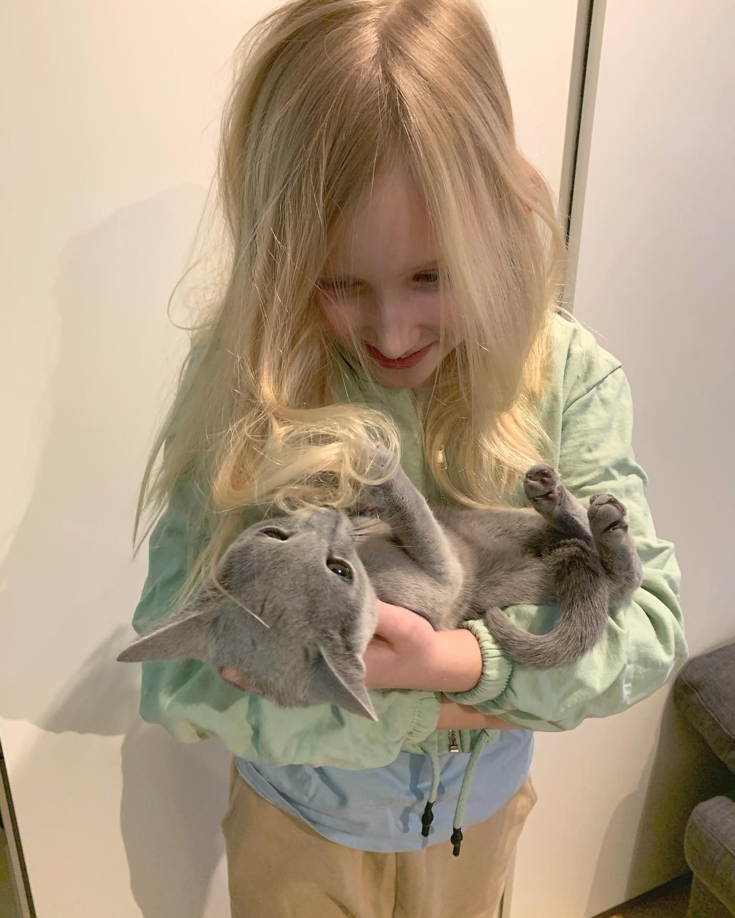 russianbluecats_1642112725_2750563358837486893_2279418181