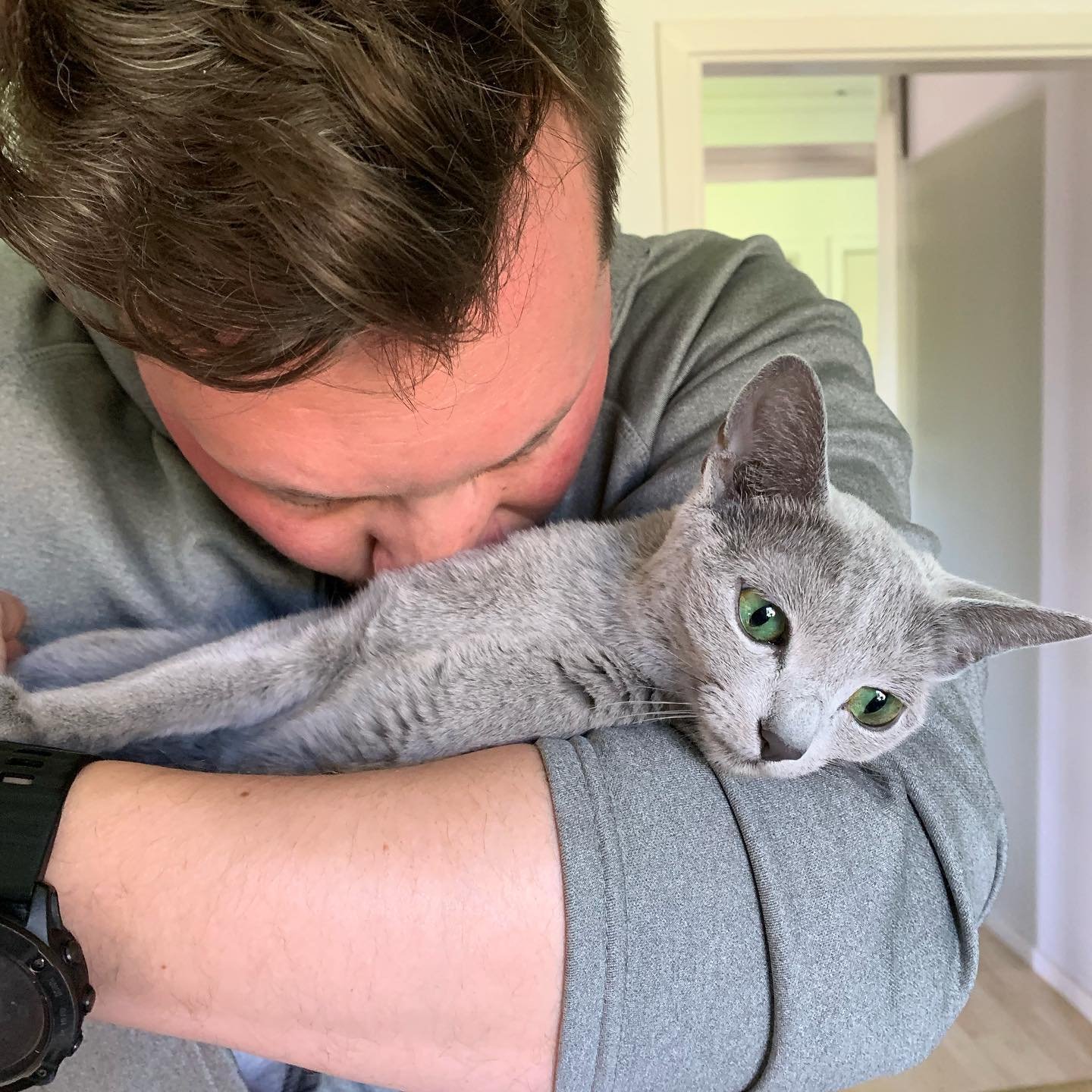 russianbluecats_1652713127_2839485974792610632_2279418181